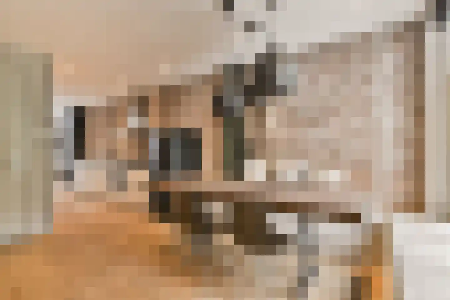 Manegestraat 2 3 Amsterdam thumbnail 8