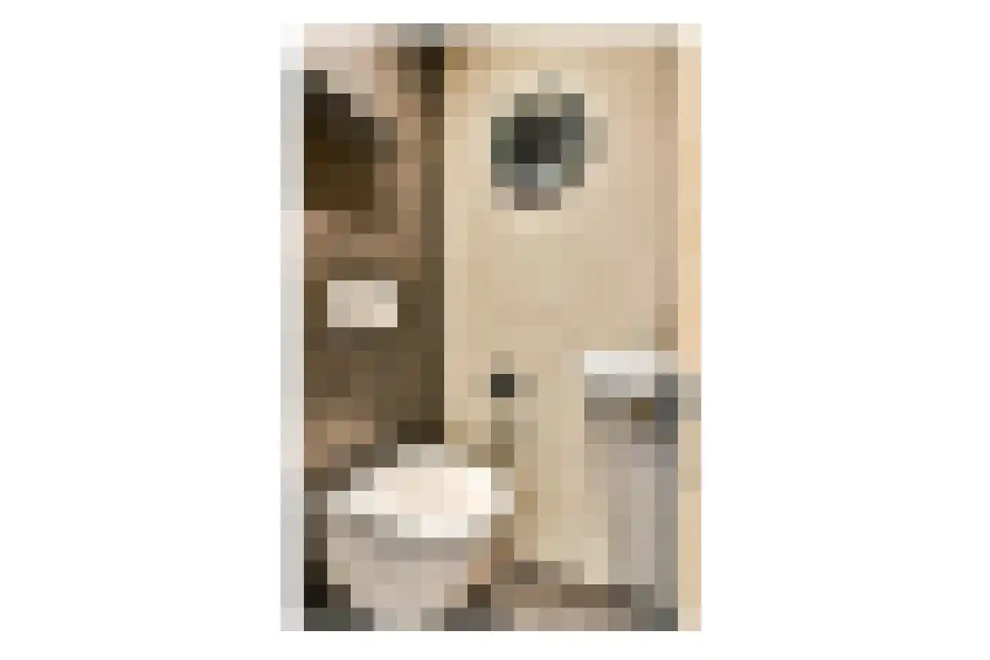 Manegestraat 2 3 Amsterdam thumbnail 9