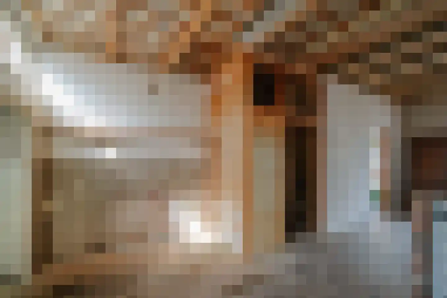 Manegestraat 26 Deventer thumbnail 6