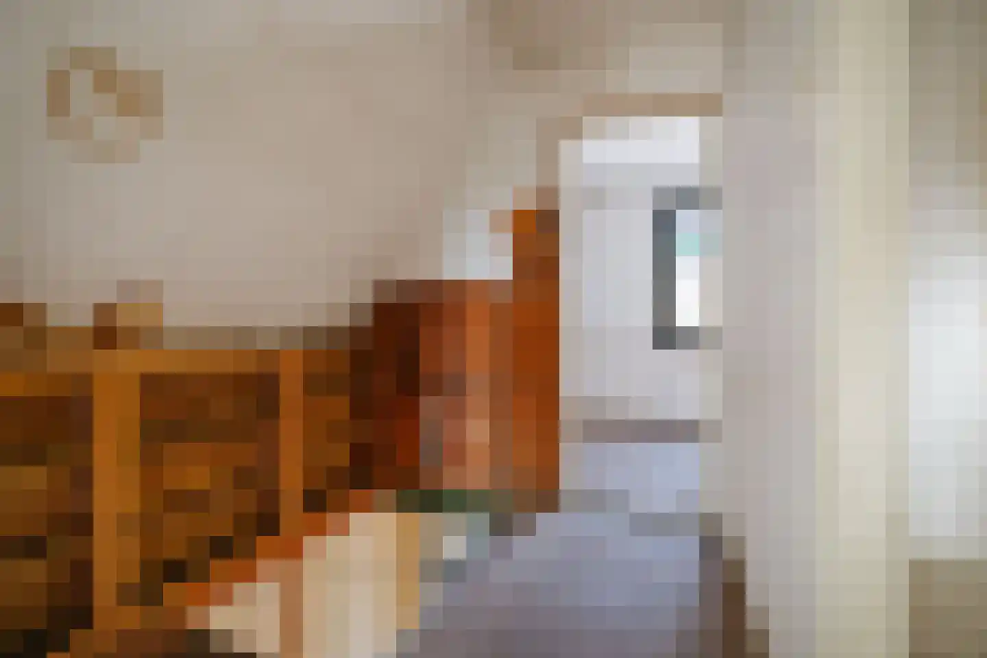 Manegestraat 26 Deventer thumbnail 9