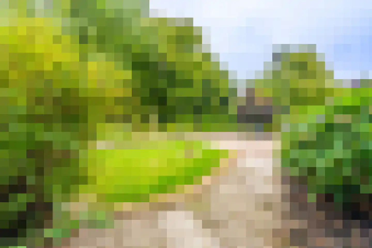 Maneil 5 Bierum thumbnail 14