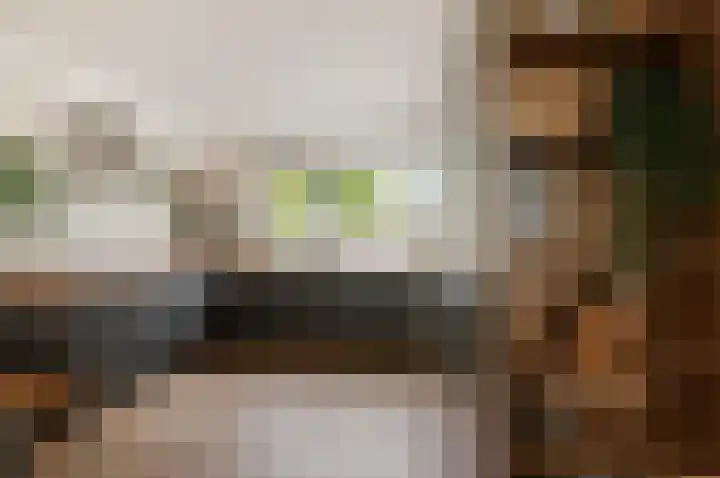 Manenburgdreef 33 Hoofddorp thumbnail 15