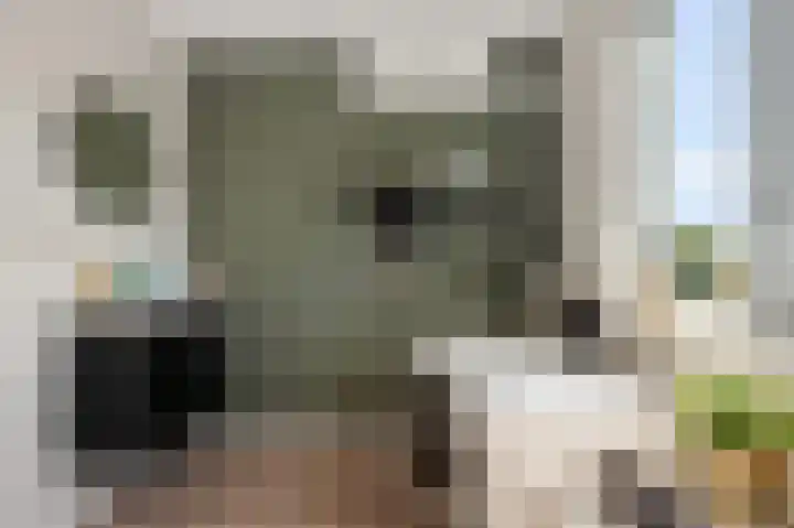 Manenburgdreef 33 Hoofddorp thumbnail 32