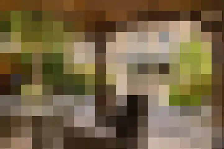 Manenburgdreef 33 Hoofddorp thumbnail 4