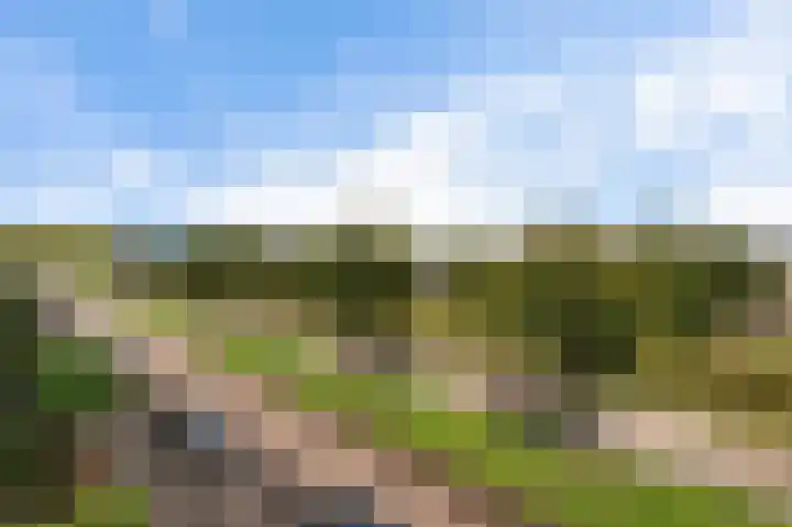 Manenburgdreef 33 Hoofddorp thumbnail 52