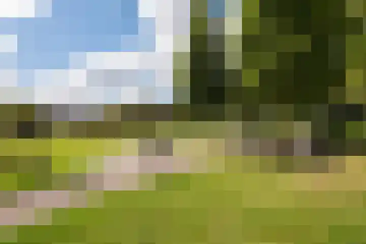 Manenburgdreef 33 Hoofddorp thumbnail 53