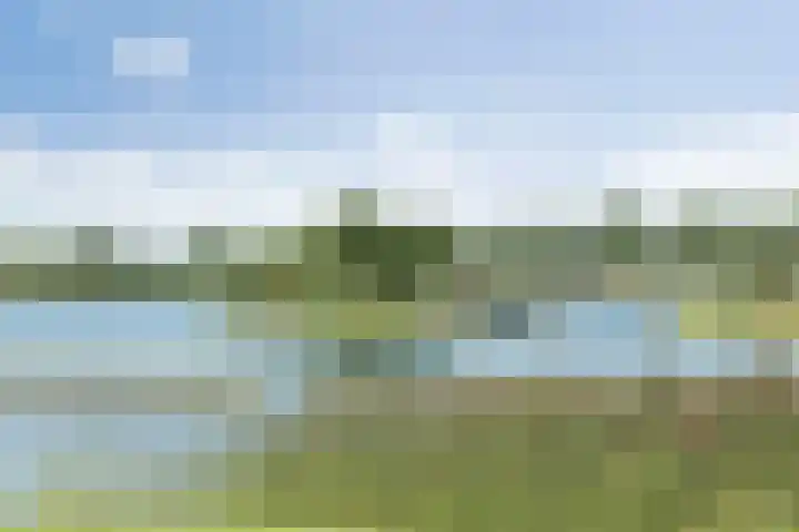 Manenburgdreef 33 Hoofddorp thumbnail 58