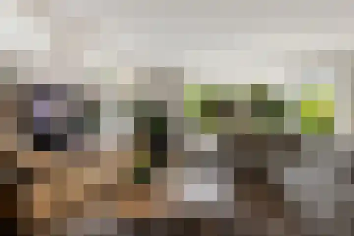 Manenburgdreef 33 Hoofddorp thumbnail 8