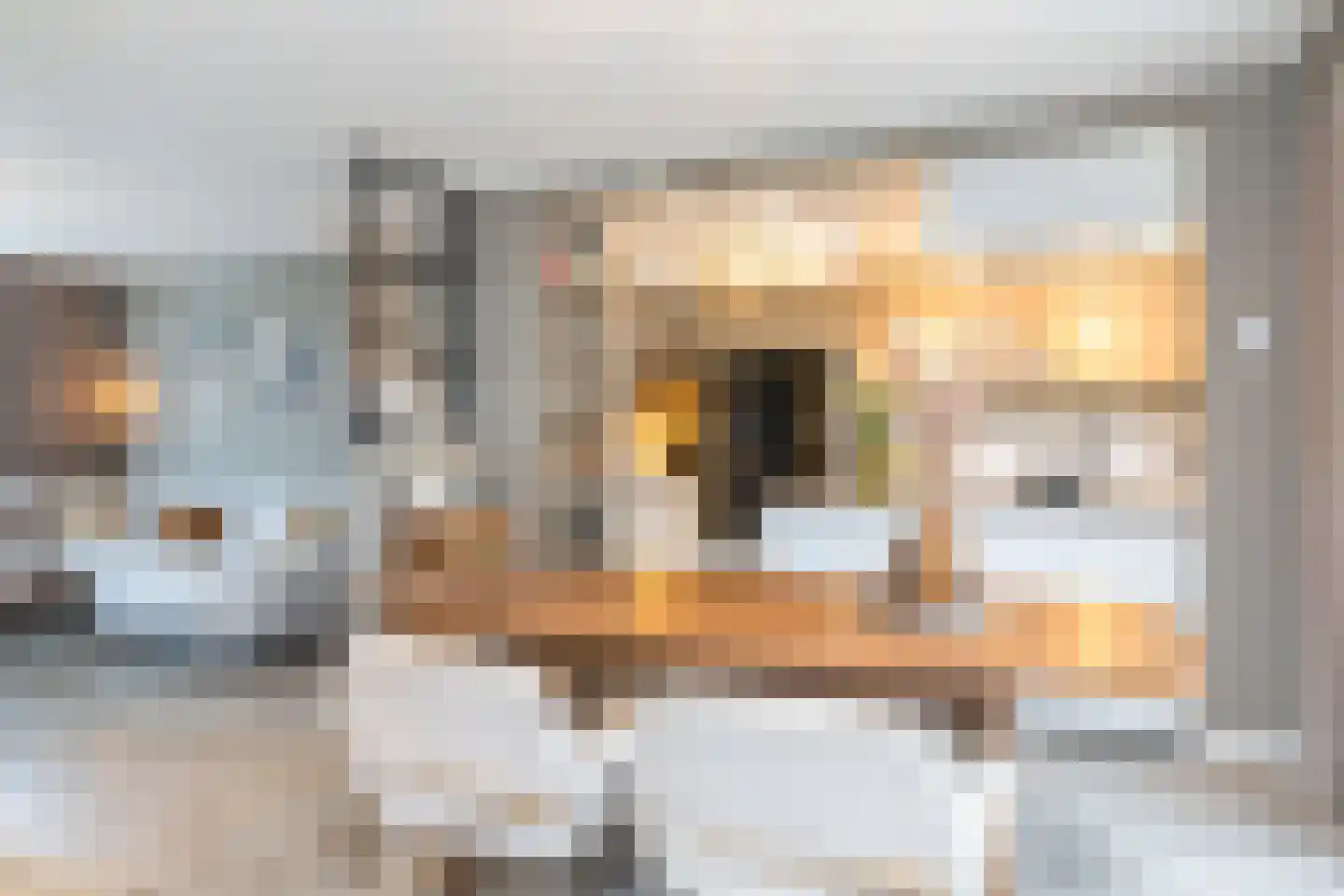 Manensheide 12 Klimmen thumbnail 15