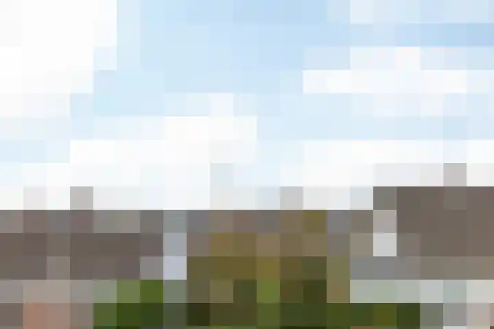 Manensheide 32 Klimmen thumbnail 18