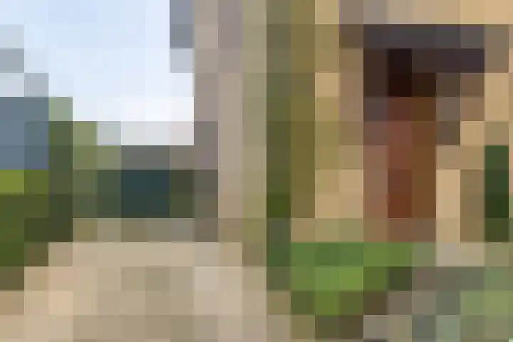 Manensheide 32 Klimmen thumbnail 25