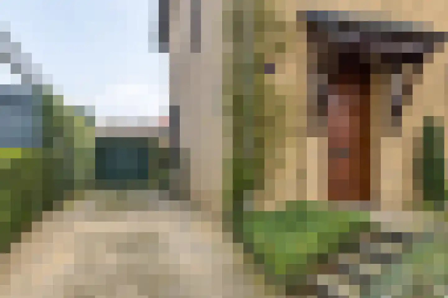 Manensheide 32 Klimmen thumbnail 25