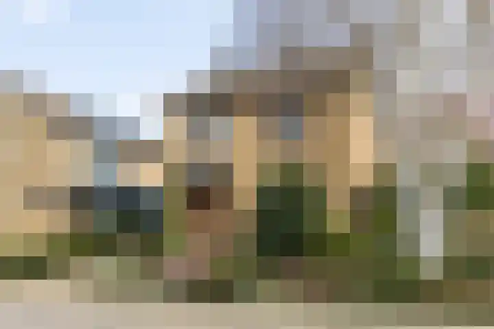 Manensheide 32 Klimmen thumbnail 29