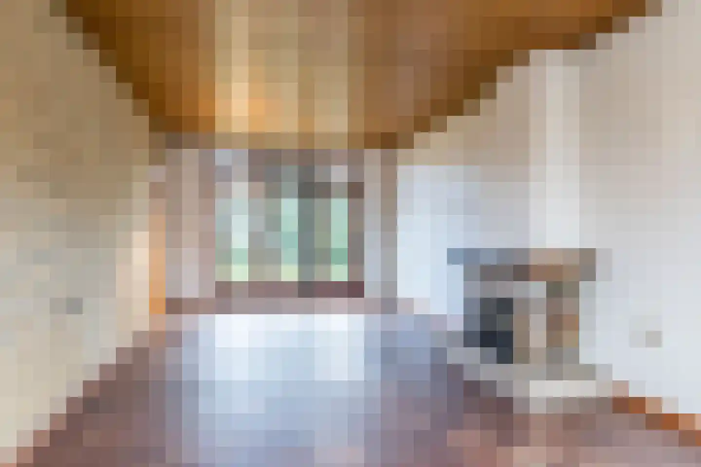 Manensheide 32 Klimmen thumbnail 6
