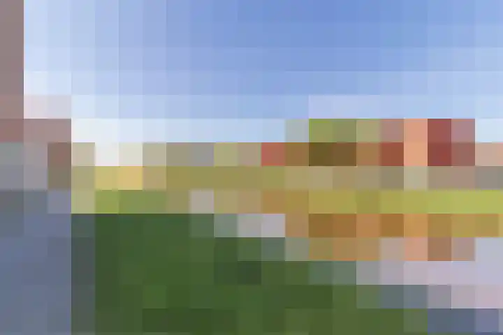 Maneschijn 31 Assendelft thumbnail 10