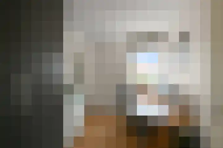 Maneschijn 31 Assendelft thumbnail 21