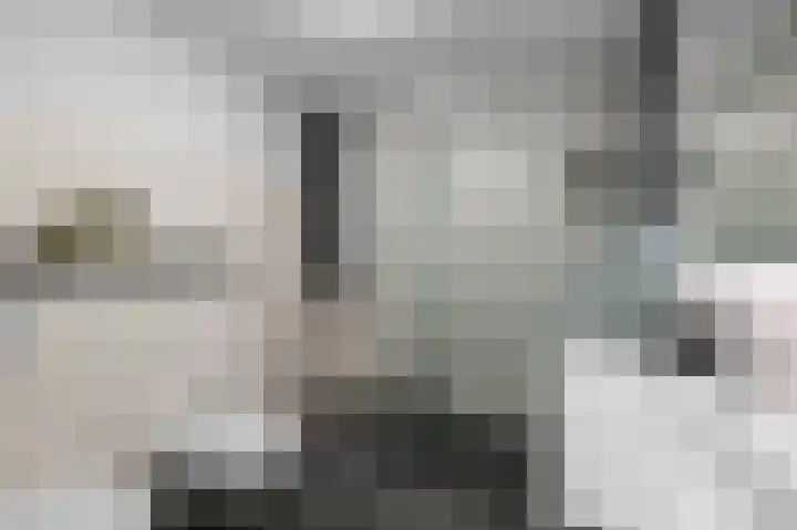 Maneschijn 31 Assendelft thumbnail 25