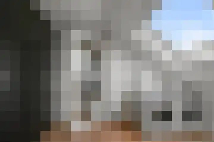 Maneschijn 31 Assendelft thumbnail 29