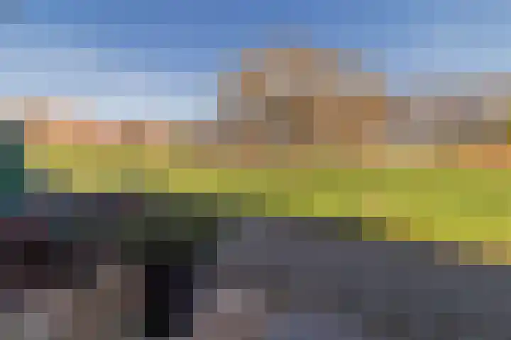 Maneschijn 31 Assendelft thumbnail 35