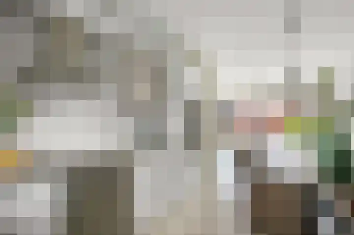 Maneschijn 31 Assendelft thumbnail 4