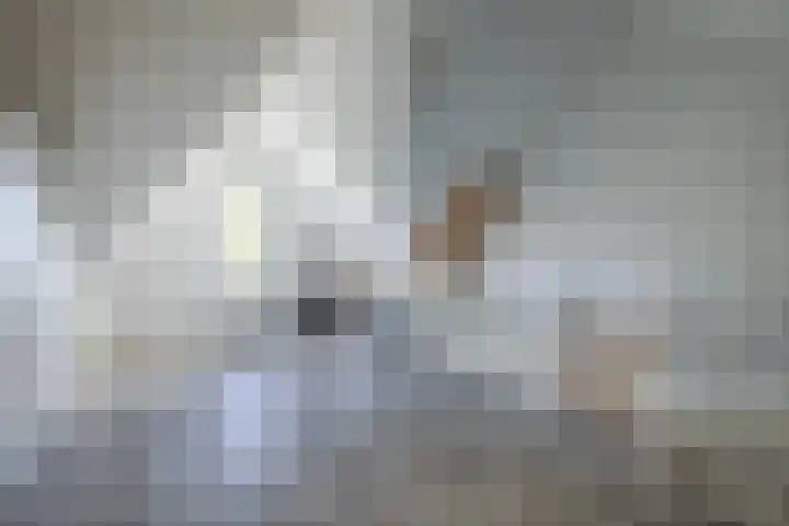 Maneschijn 4 Arnhem thumbnail 22