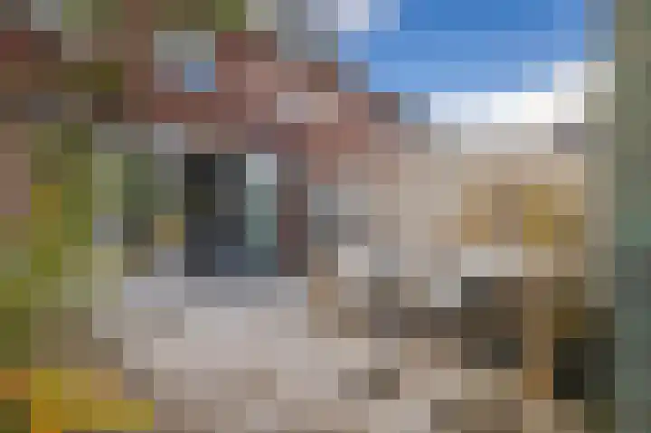 Maneschijn 4 Arnhem thumbnail 24