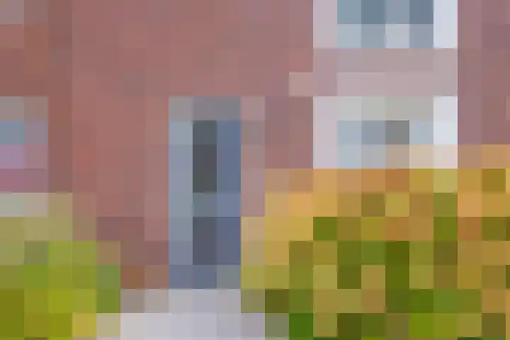 Maneschijn 4 Arnhem thumbnail 5