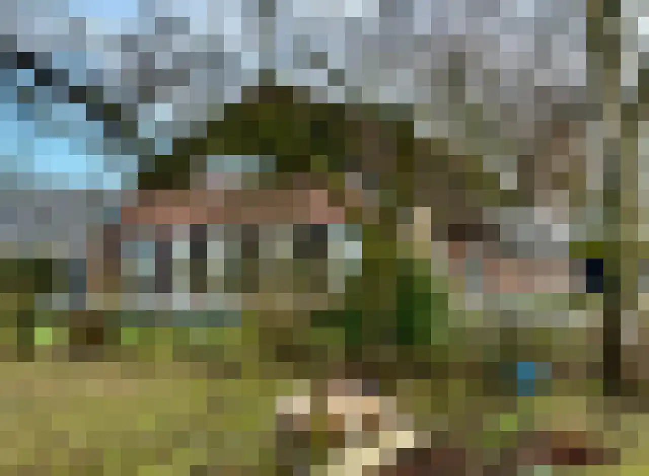 Maneschijnsweg 29 Holten thumbnail 28