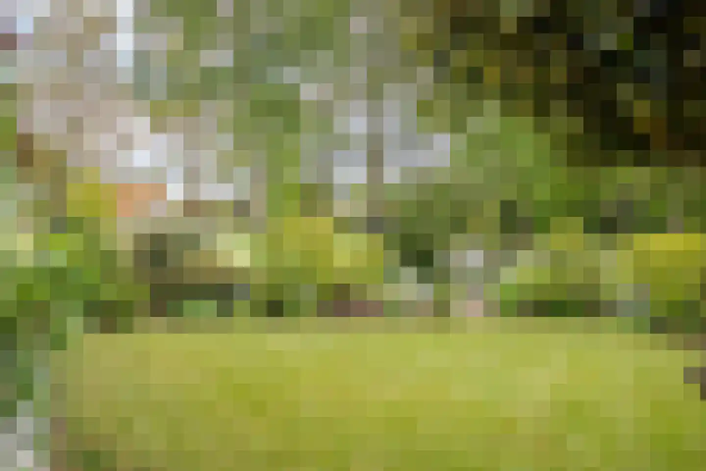 Maneschijnsweg 29 Holten thumbnail 29