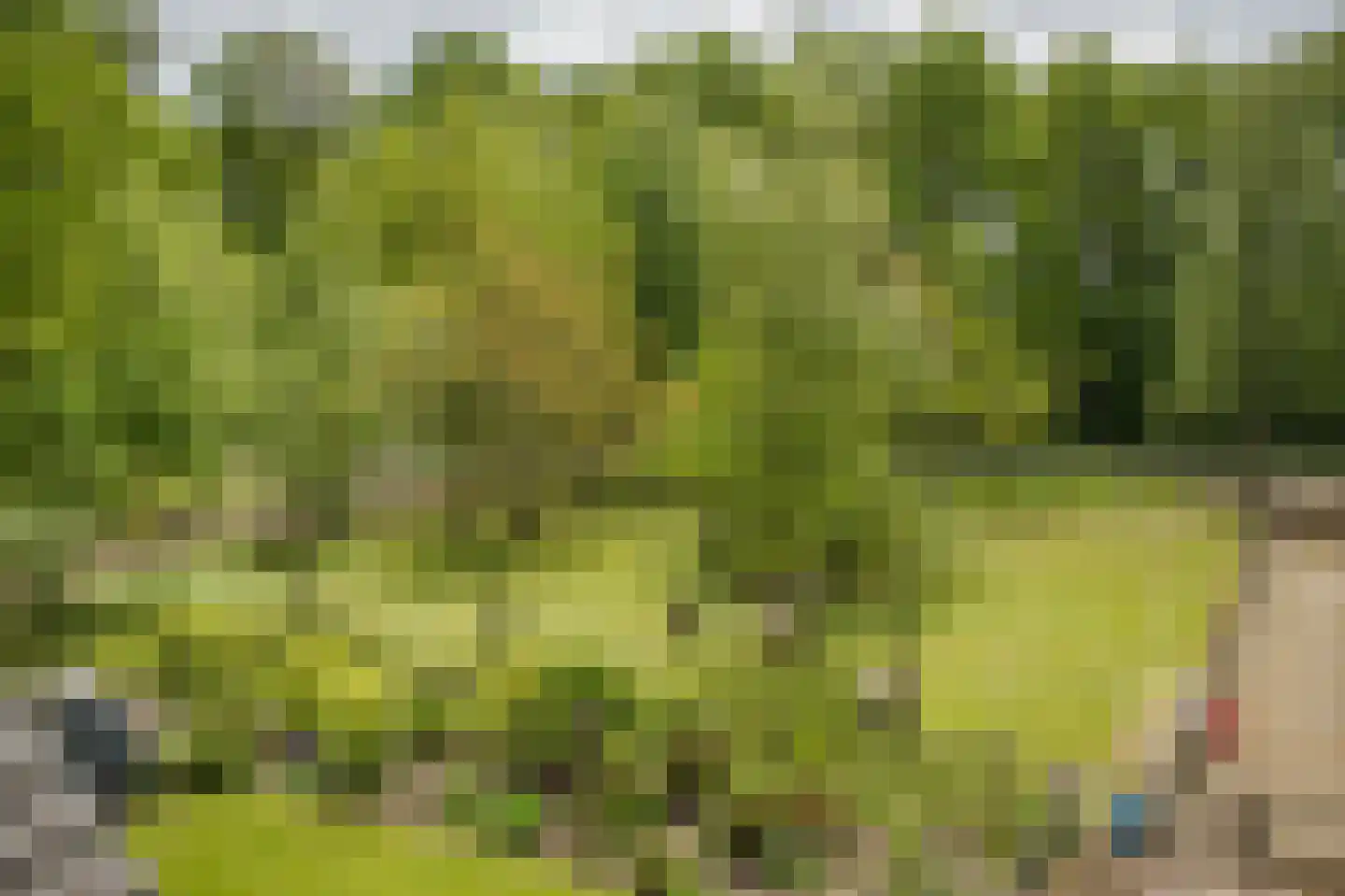 Maneschijnsweg 29 Holten thumbnail 30
