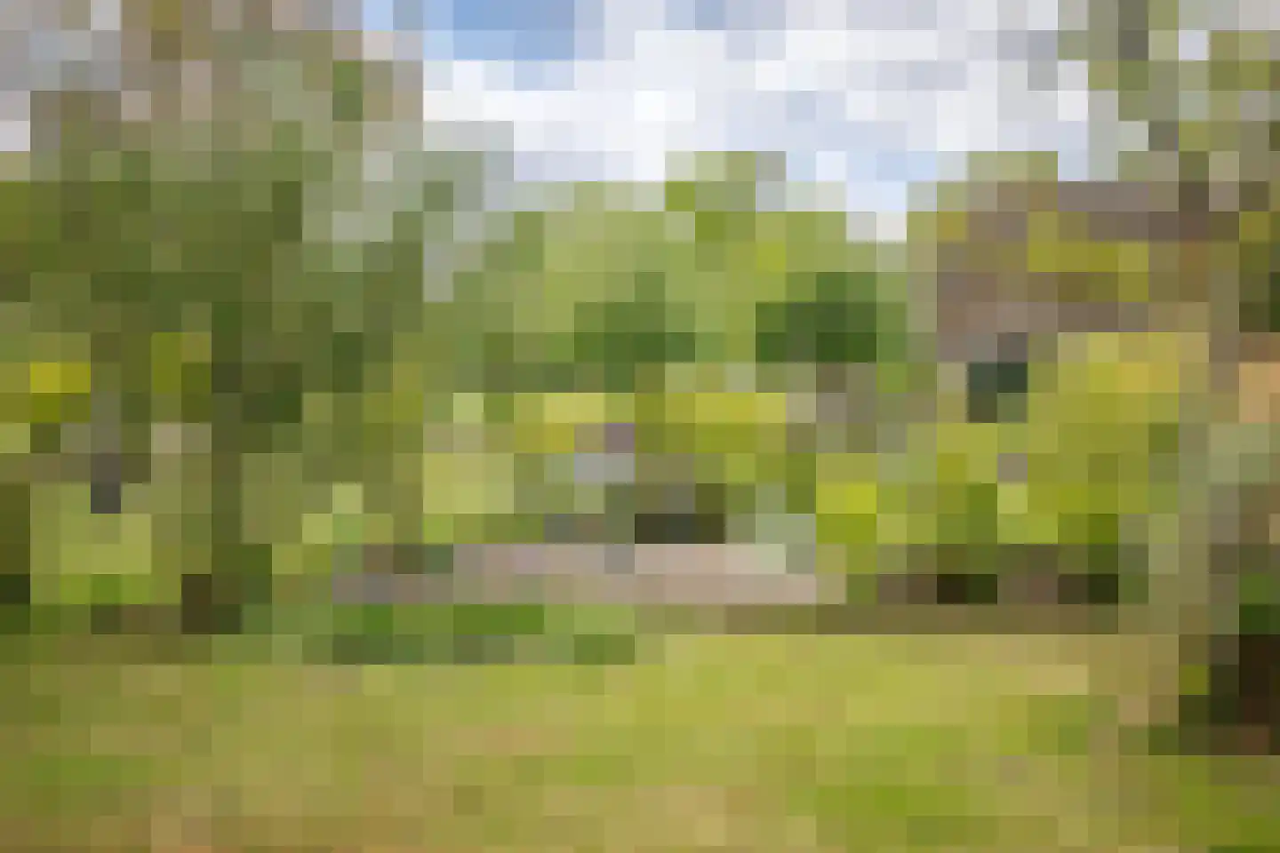 Maneschijnsweg 29 Holten thumbnail 31