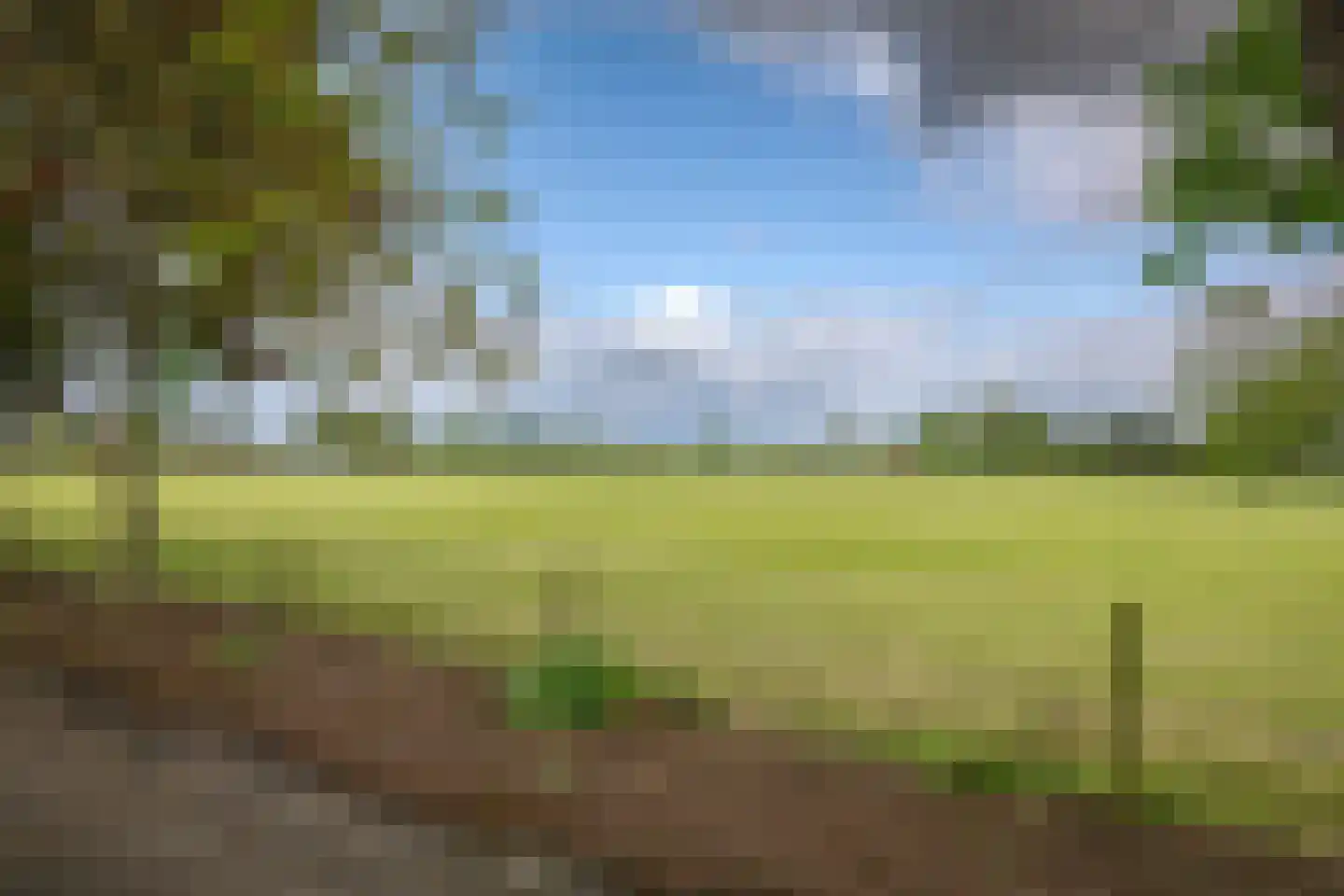 Maneschijnsweg 29 Holten thumbnail 32