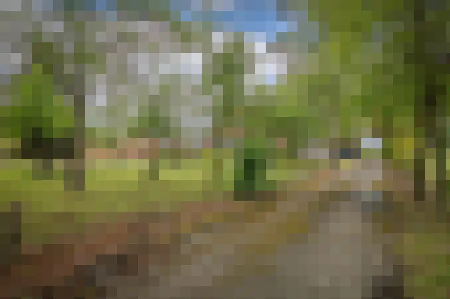 Maneschijnsweg 29 Holten thumbnail 33