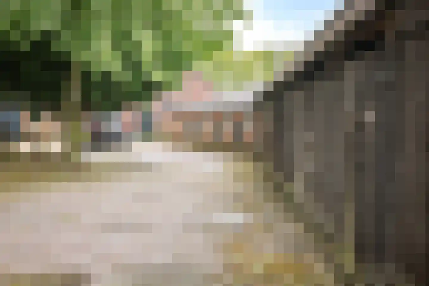 Maneschijnsweg 29 Holten thumbnail 35