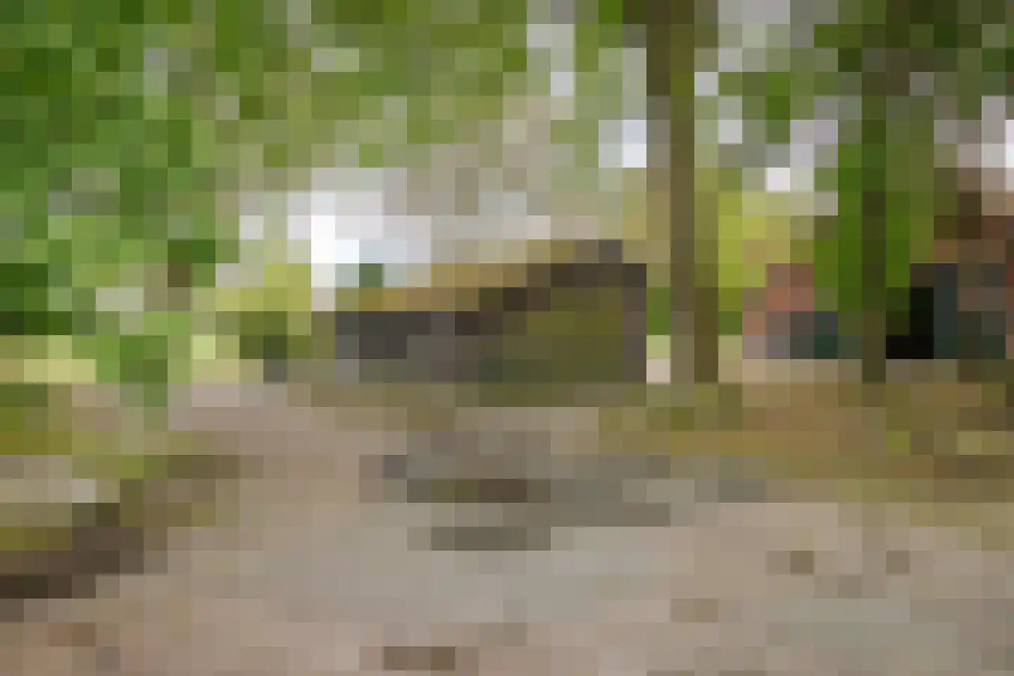 Maneschijnsweg 29 Holten thumbnail 36