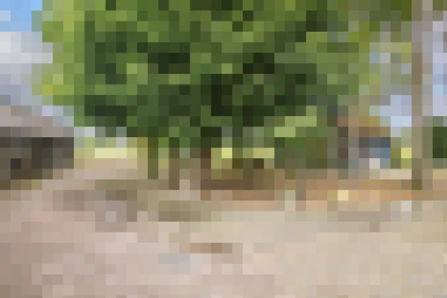 Maneschijnsweg 29 Holten thumbnail 38
