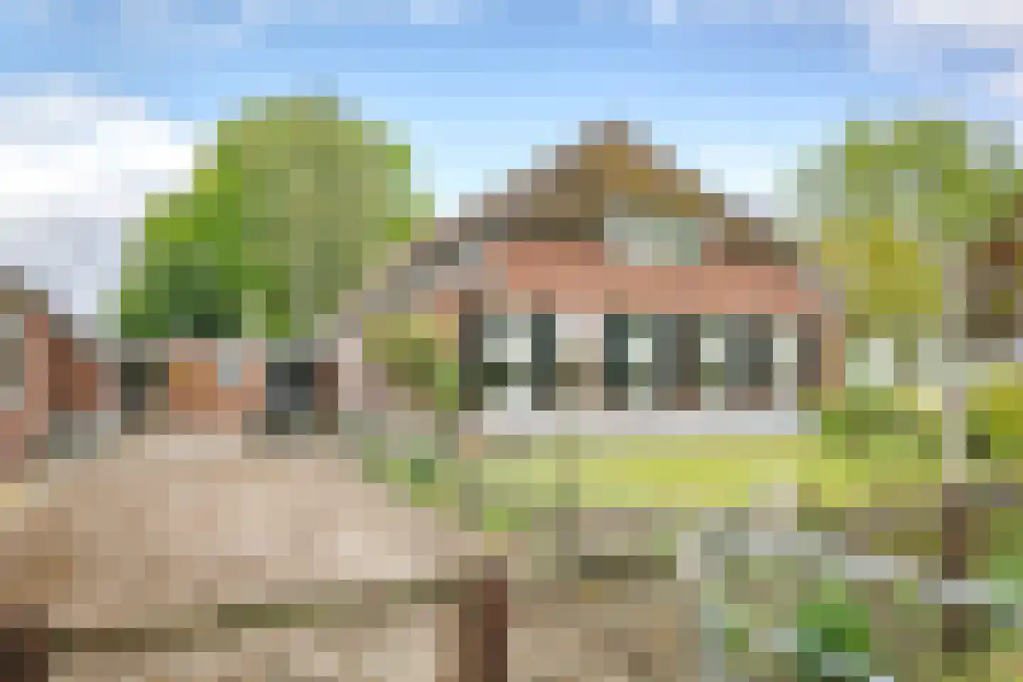 Maneschijnsweg 29 Holten thumbnail 4