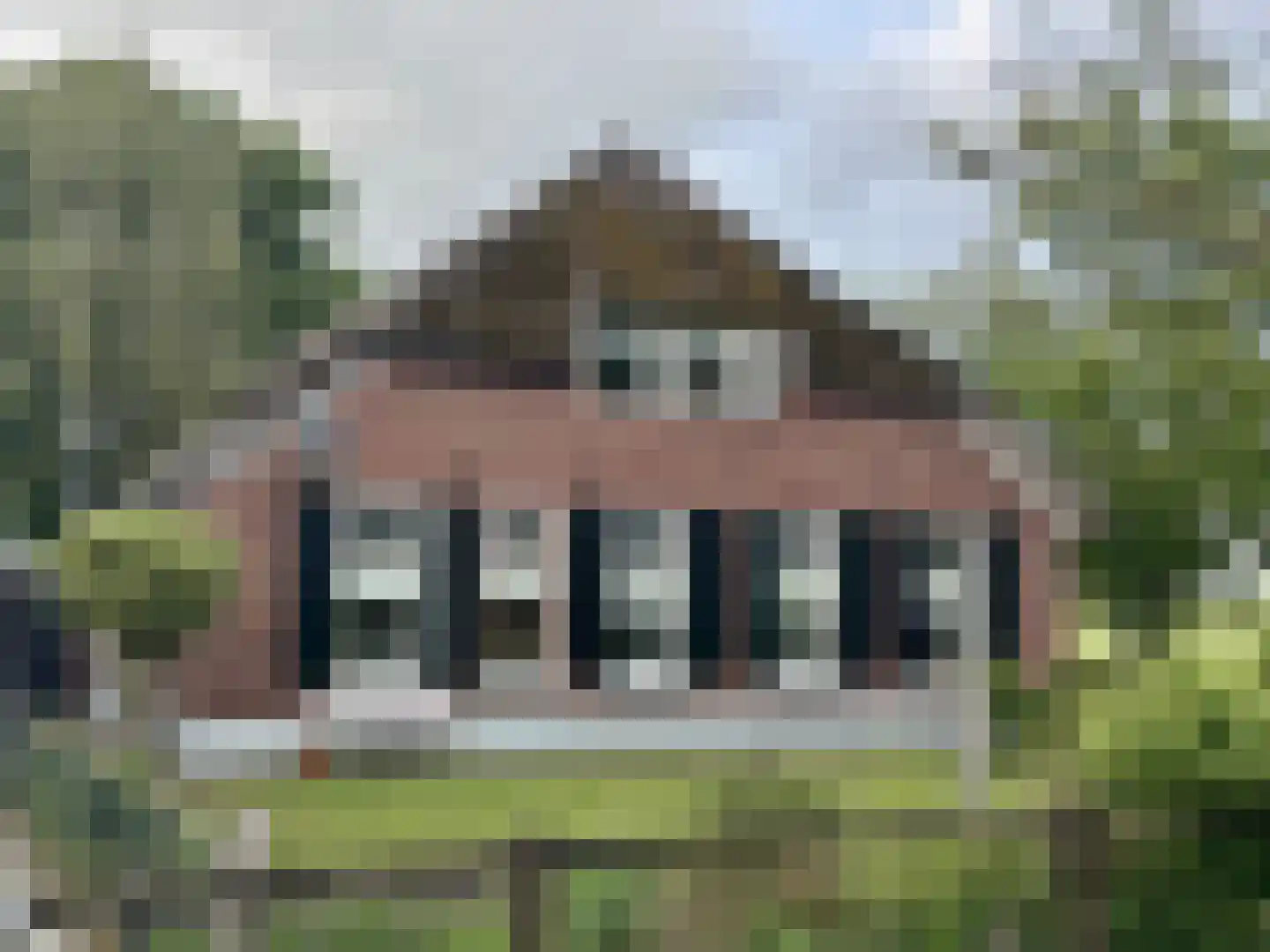 Maneschijnsweg 29 Holten thumbnail 41
