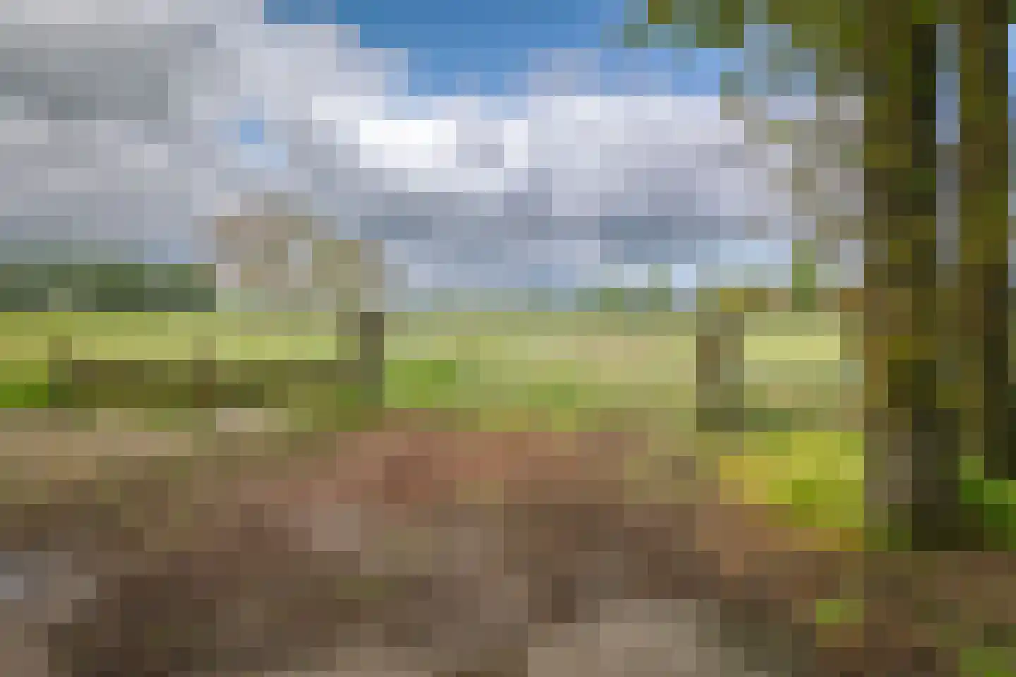 Maneschijnsweg 29 Holten thumbnail 42