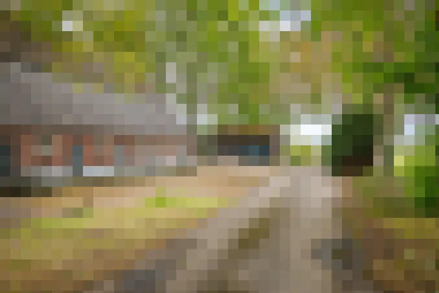 Maneschijnsweg 29 Holten thumbnail 44