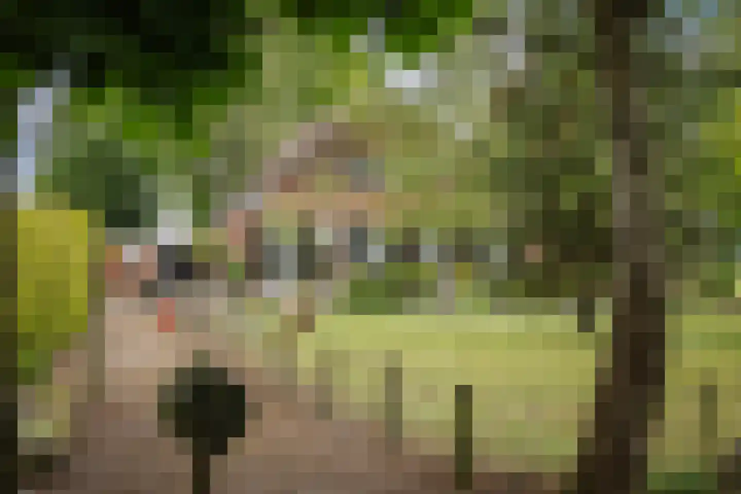 Maneschijnsweg 29 Holten thumbnail 5