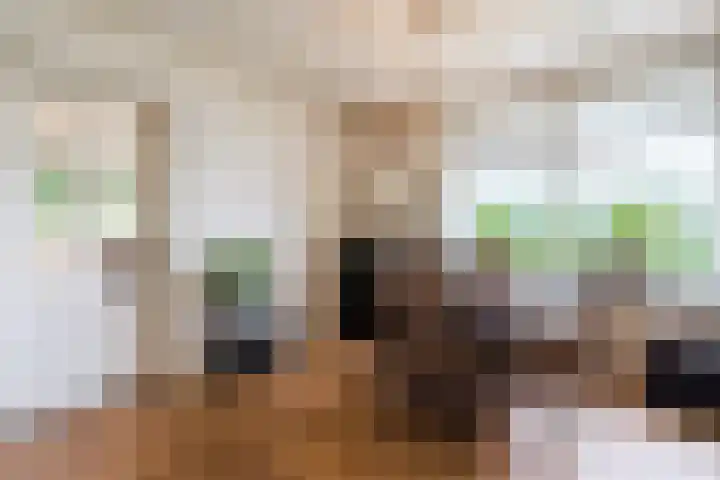 Maneweg 2 Dalfsen thumbnail 10