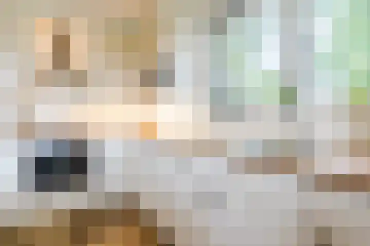 Maneweg 2 Dalfsen thumbnail 13