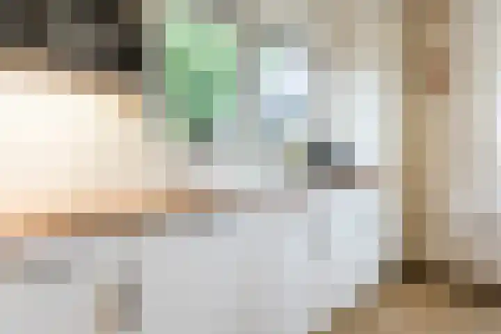 Maneweg 2 Dalfsen thumbnail 14