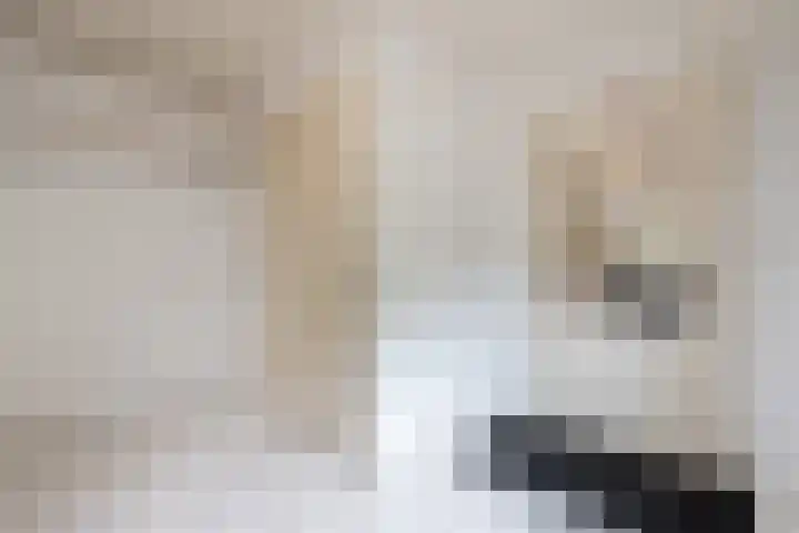 Maneweg 2 Dalfsen thumbnail 31