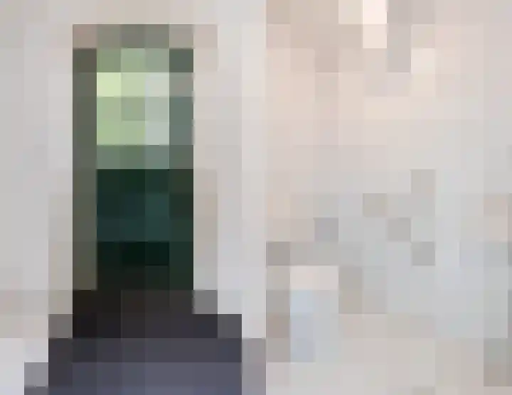 Maneweg 2 Dalfsen thumbnail 32