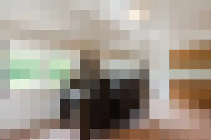 Maneweg 2 Dalfsen thumbnail 33