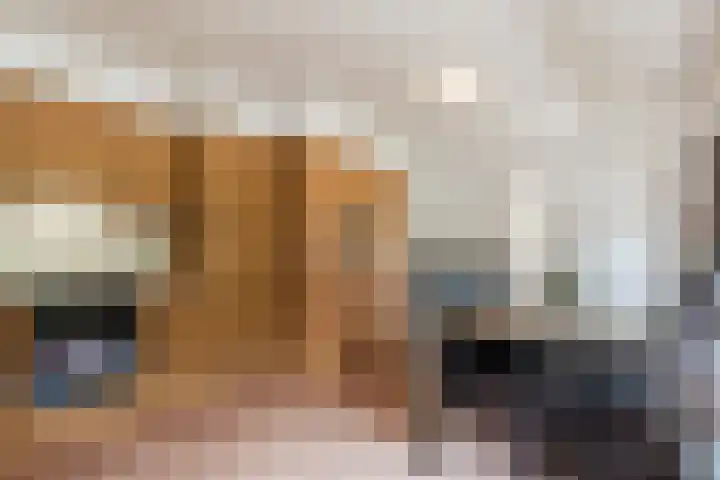 Maneweg 2 Dalfsen thumbnail 35