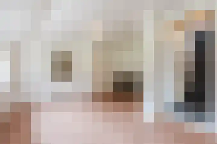 Maneweg 2 Dalfsen thumbnail 38