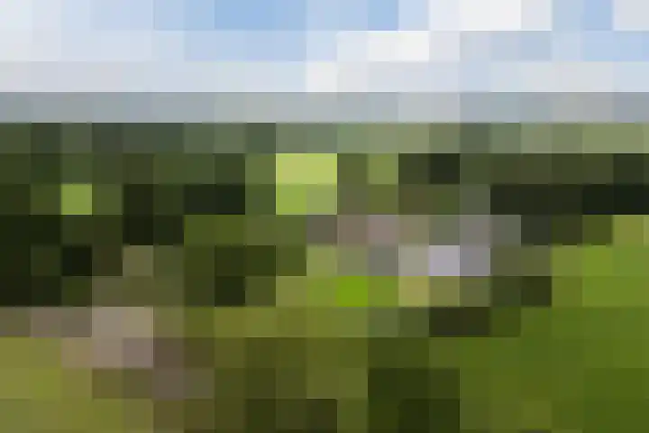 Maneweg 2 Dalfsen thumbnail 4